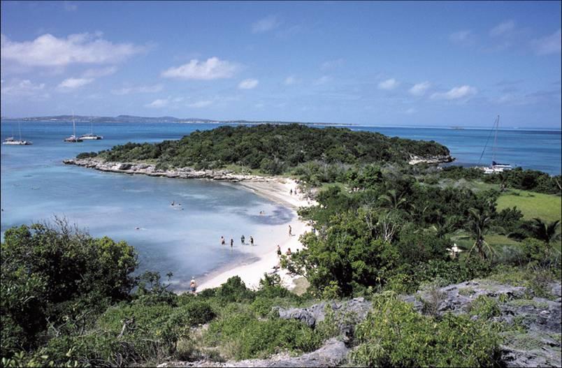 Great Bird Island